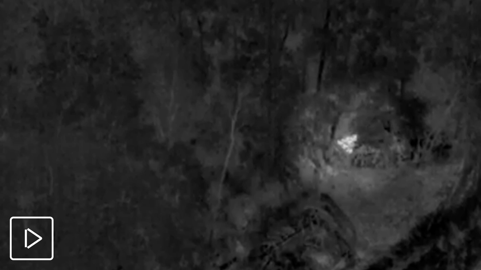 thermal image from Skydio drone