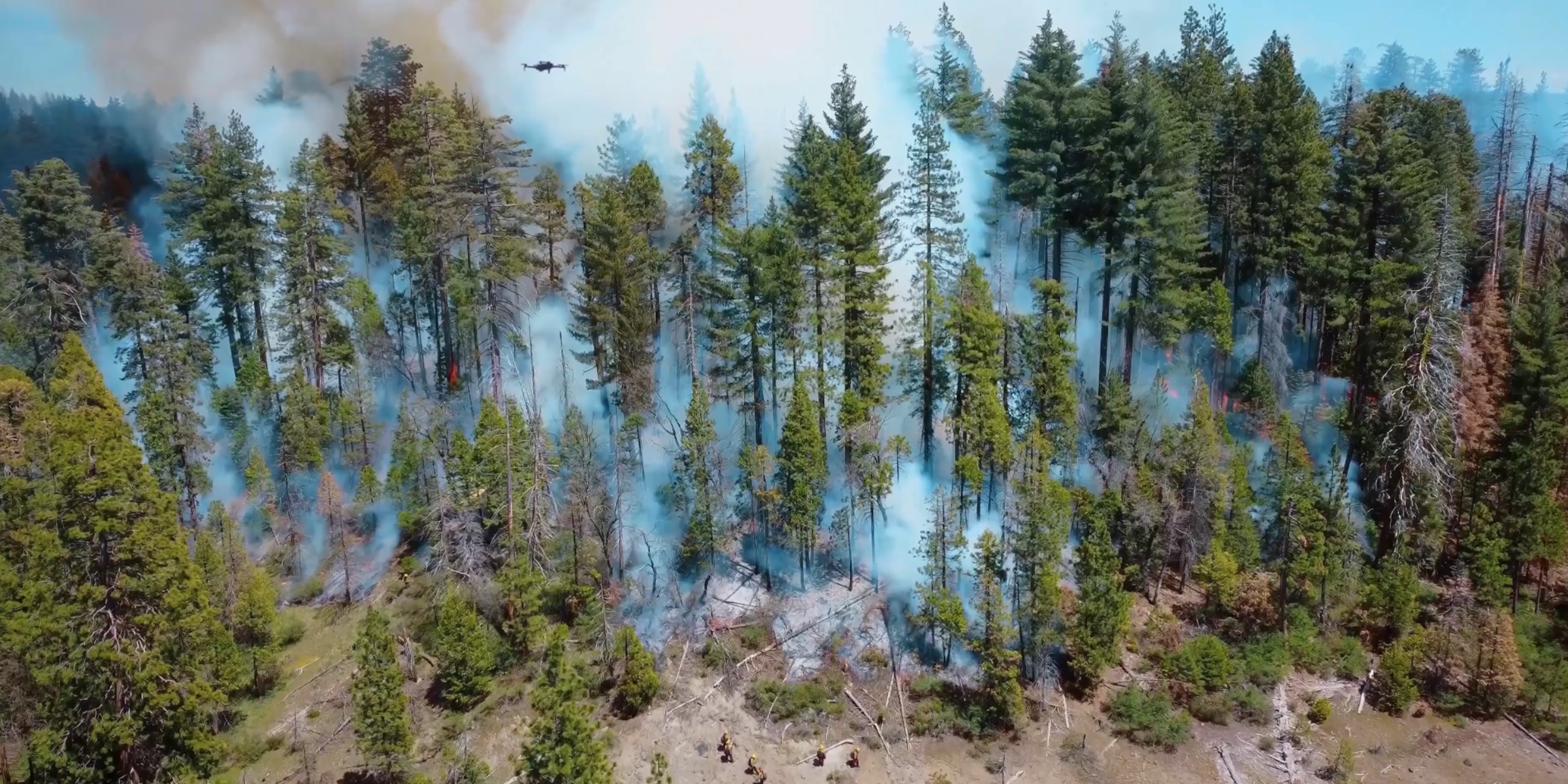 Skydio drone above a forest fire